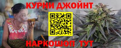 гидра Гай