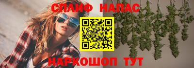 прущие грибы Балашиха