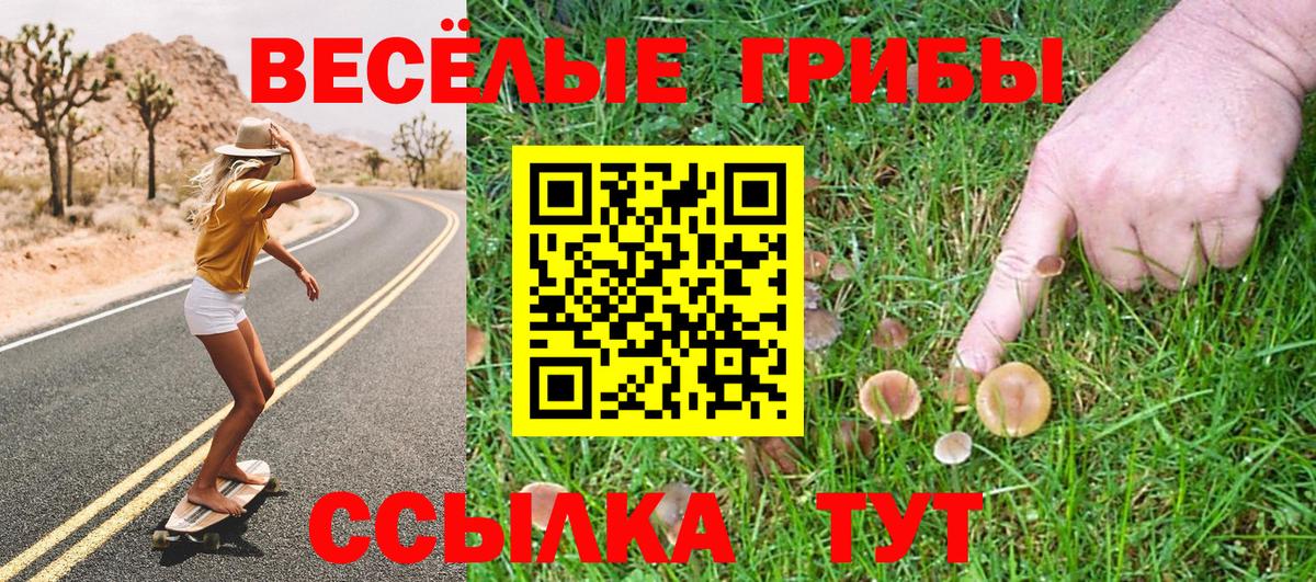 Галлюциногенные грибы Psilocybine cubensis Жигулёвск
