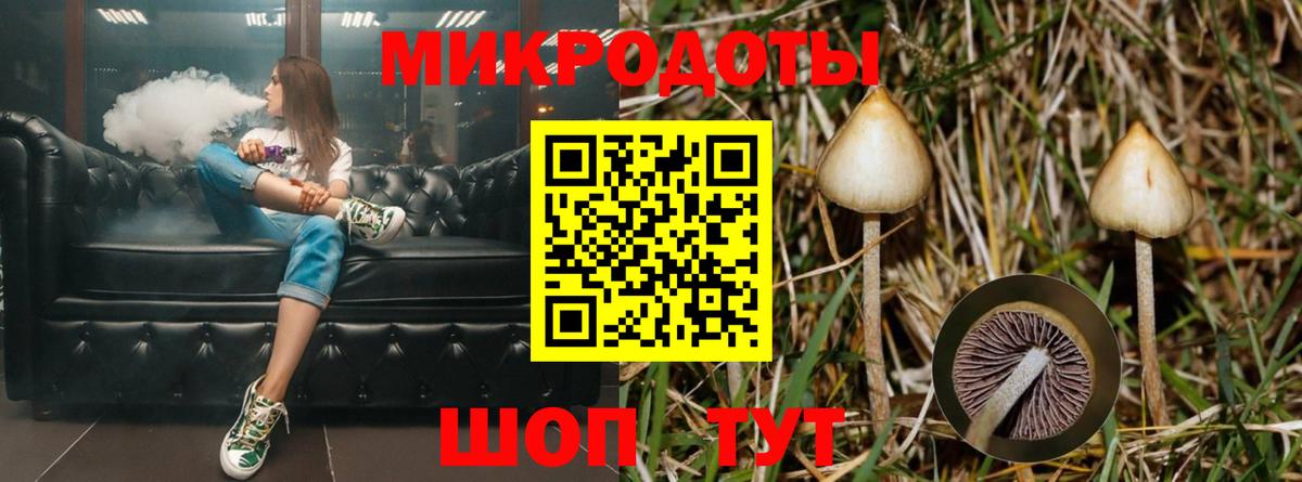 Галлюциногенные грибы ЛСД  Вход с VPN  цена   Жигулёвск 